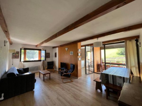 Appartement T2 face aux pistes avec terrasse, 9 couchages, proche commerces et piscine - FR-1-165A-103